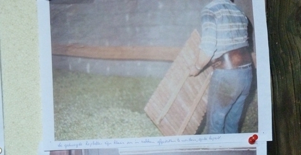 63-Gedroogde hopbellen op de hopast