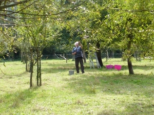 wandeldag Nestlé Den Bunt 2012 019