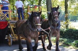 deurne reuzestoet 054