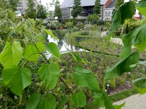 20120914.Wetteren.Tuin2012 068