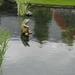 20120914.Wetteren.Tuin2012 075