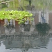 20120914.Wetteren.Tuin2012 087