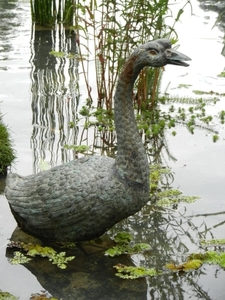 20120914.Wetteren.Tuin2012 093