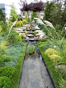 20120914.Wetteren.Tuin2012 096