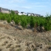 2012-09-15 Ede 014