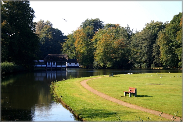 herfst,vogels,water