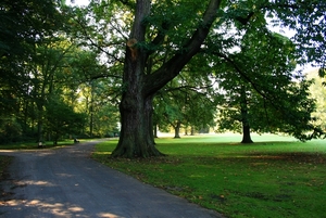 Wandelweg