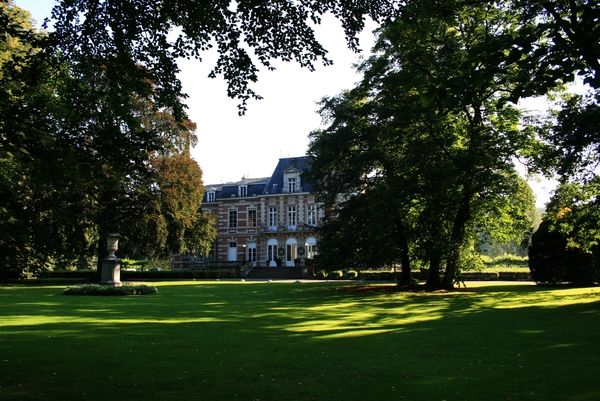 architectuur,bomen