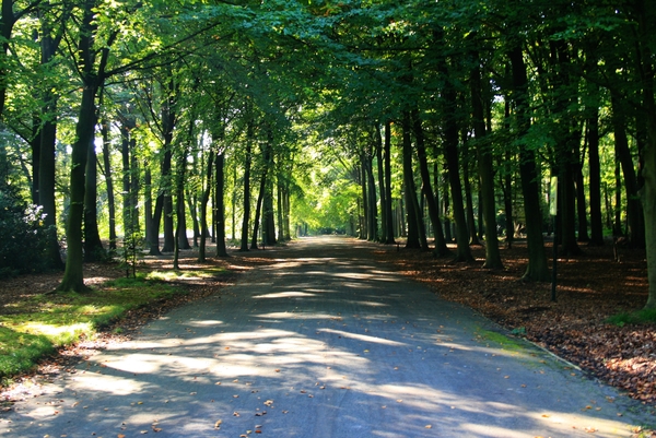 Veel wandelplezier