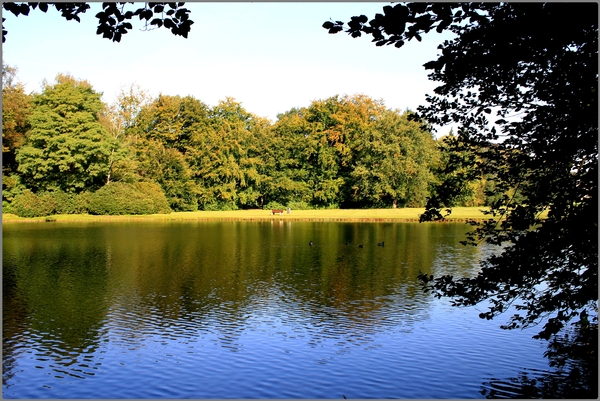 herfstkleuren,water