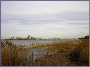 De Schelde in Antwerpen