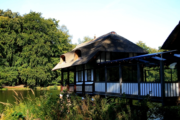 architectuur,bomen,water,ganzen