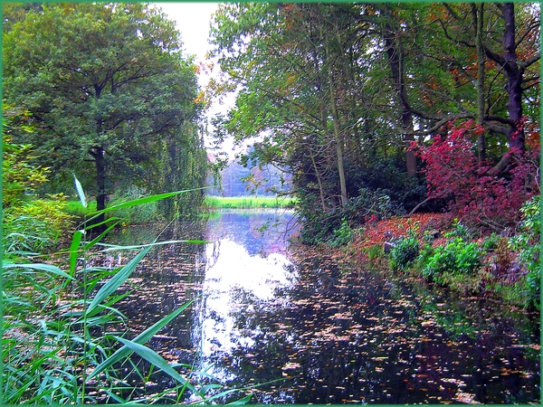 water,bomen,herfst