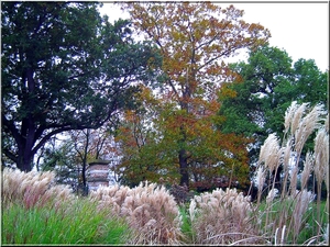 Herfstkleuren