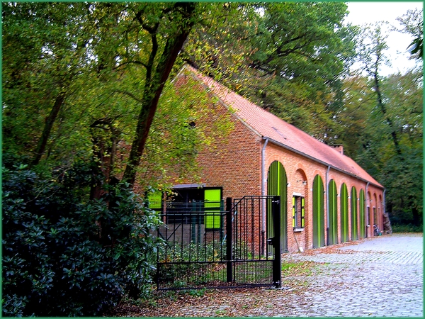 herfst,boerderij,bomen