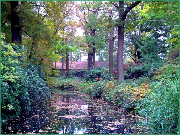 herfst,bomen,water,architectuur