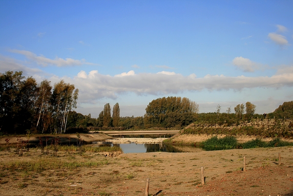 bomen,lucht,water,wolken