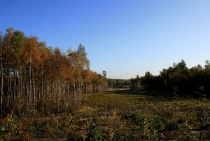 Herfst in het nieuwe park.