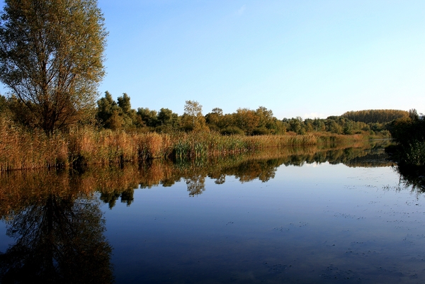 Prachtige dag voor een wandeling