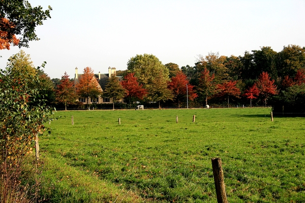 herfst,herfstkleuren