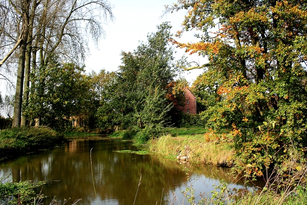 Meersel-Dreef,water,bomen,herfst