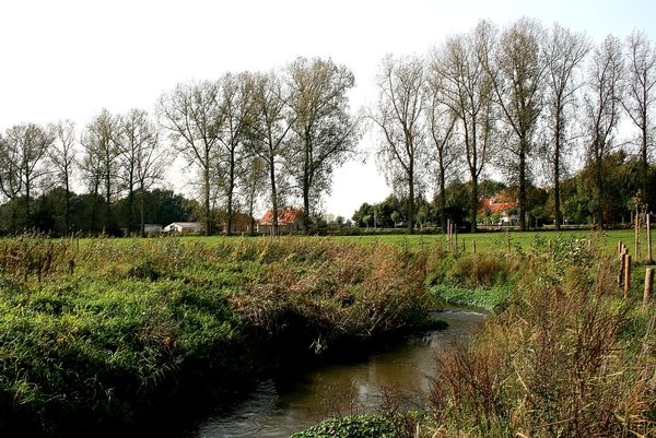 Meersel-Dreef,water,bomen,herfst