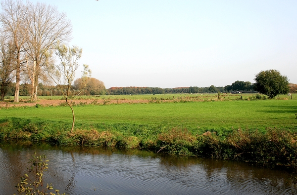 Meersel-Dreef,water,herfst,bomen