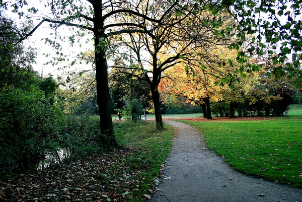 Rivierenhof,Deurne,herfst