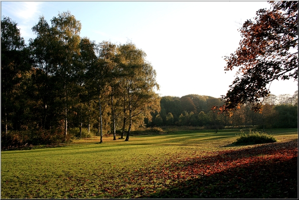 Herfstkleuren in de ochtend zon