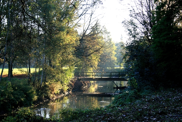 Rivierenhof,Deurne,herfst,bomen,water