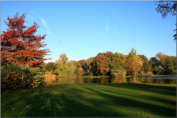 bomen,water,herfst,Rivierenhof,Deurne