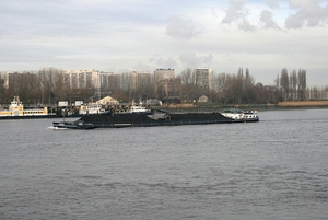 De Schelde in Antwerpen