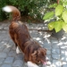 20090823 Aaigem 043