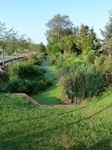 29-Vijvers van het kasteel ten Bosse