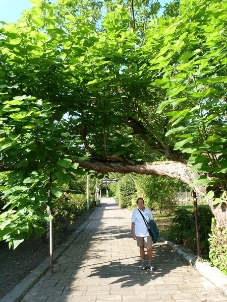 86-Tuinen huis Van Thuyne