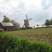 20090419 wandeling_055