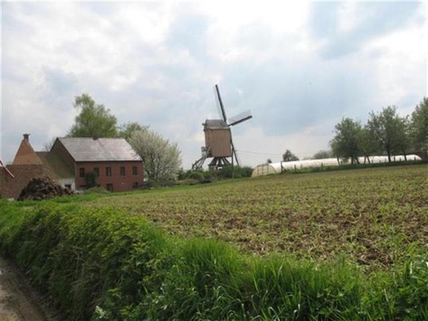 20090419 wandeling_055