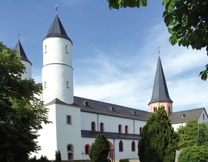 basiliek van STEINFELD