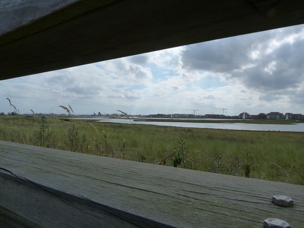 062-Vanuit kijkhut zicht op natuurreservaat