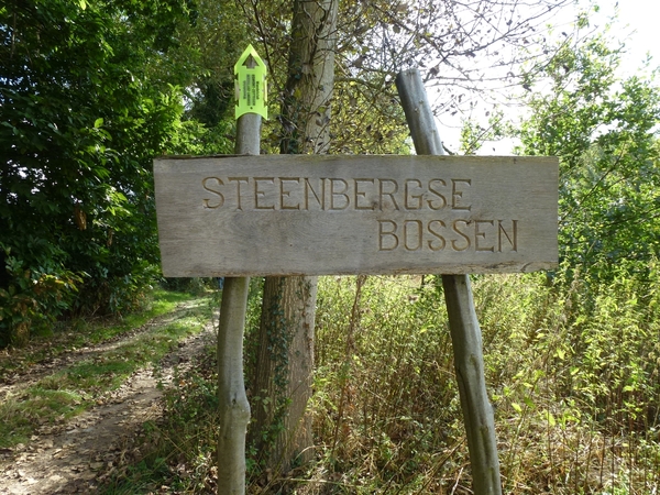2012-09-19 Zottegem 007