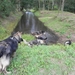 eindelijk water gevonden