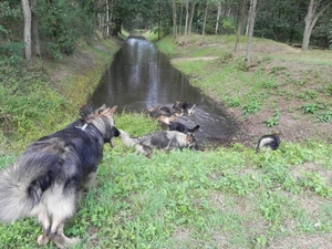 eindelijk water gevonden