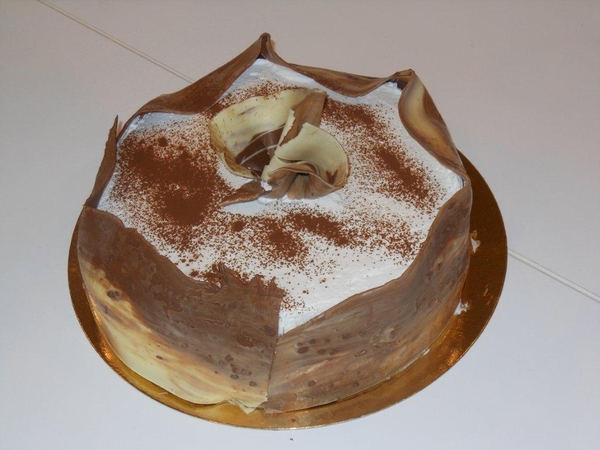 nagerechten fruittaarten 020