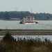 DSCN0431