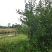 2012-09-21 Geel 006