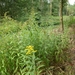 2012-09-21 Geel 014