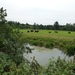 2012-09-21 Geel 021