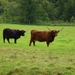 2012-09-21 Geel 022
