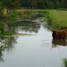 2012-09-21 Geel 023