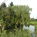 2012-09-21 Geel 026